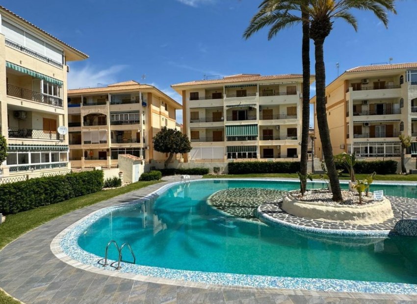 Reventa - Apartamento / piso - Torrevieia - La Mata