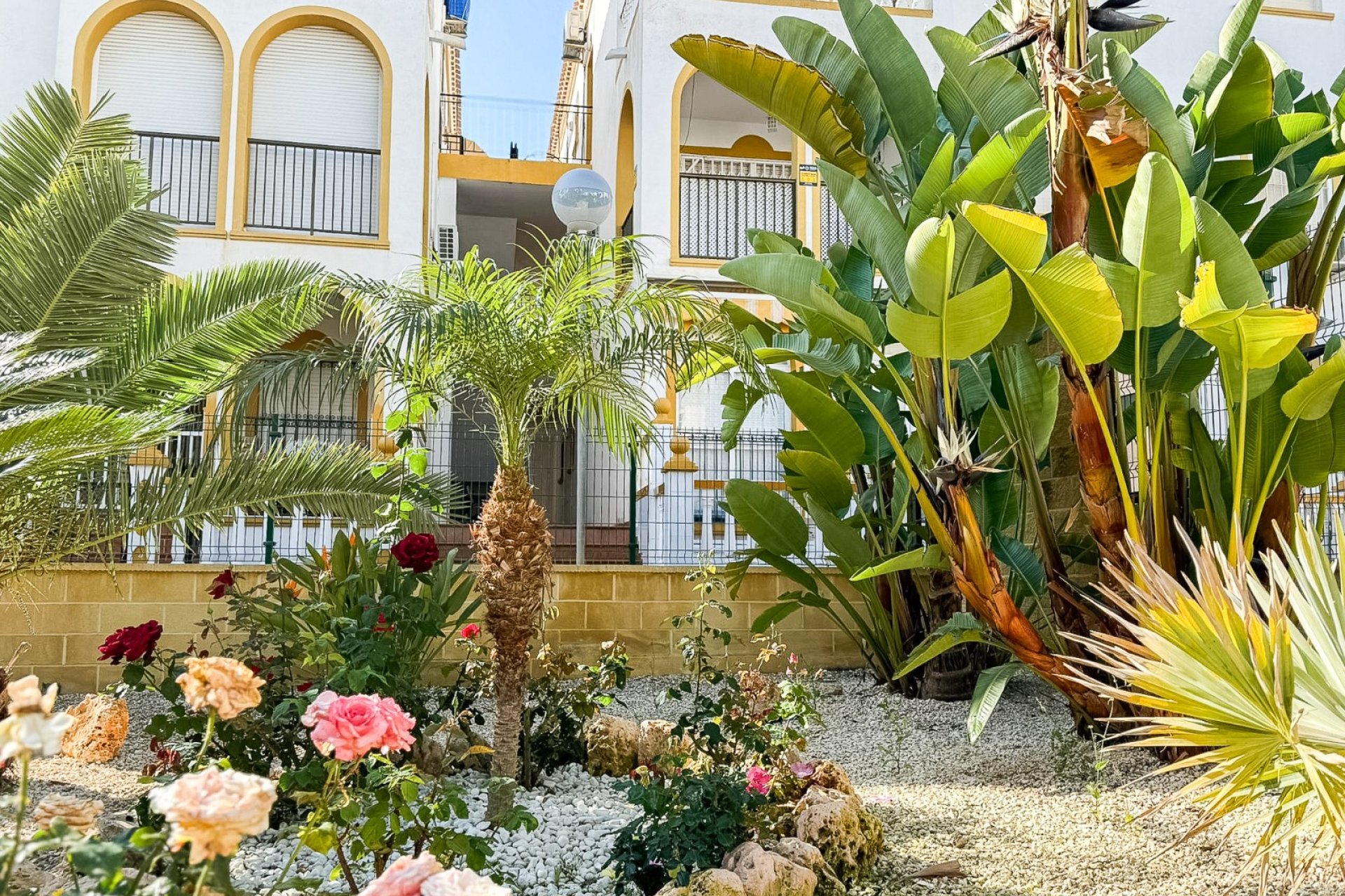 Reventa - Apartamento / piso - Torrevieia - La Mata