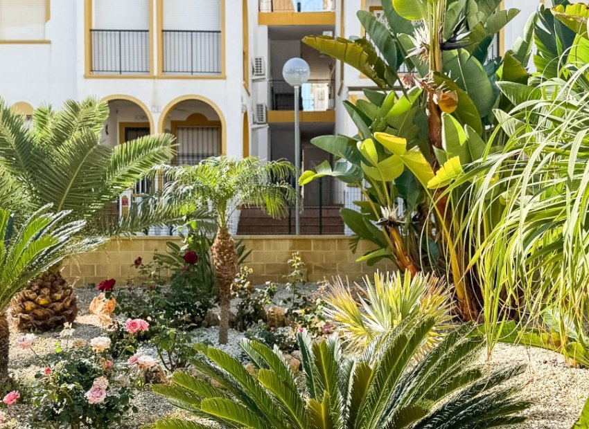 Reventa - Apartamento / piso - Torrevieia - La Mata