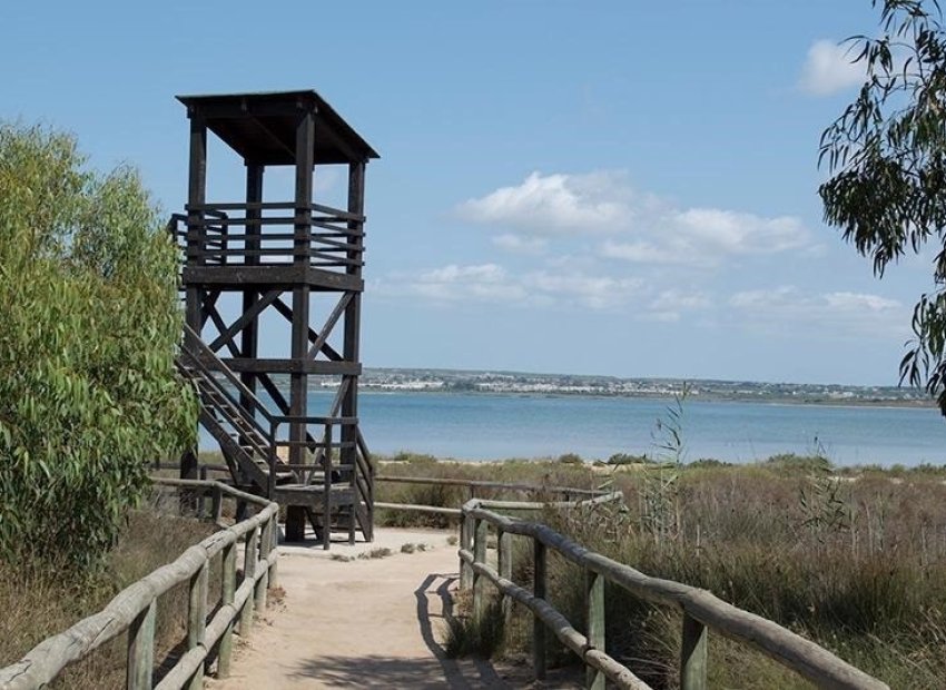 Reventa - Apartamento / piso - Torrevieia - La Mata