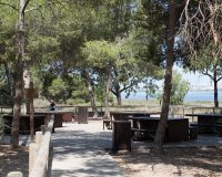 Reventa - Apartamento / piso - Torrevieia - La Mata