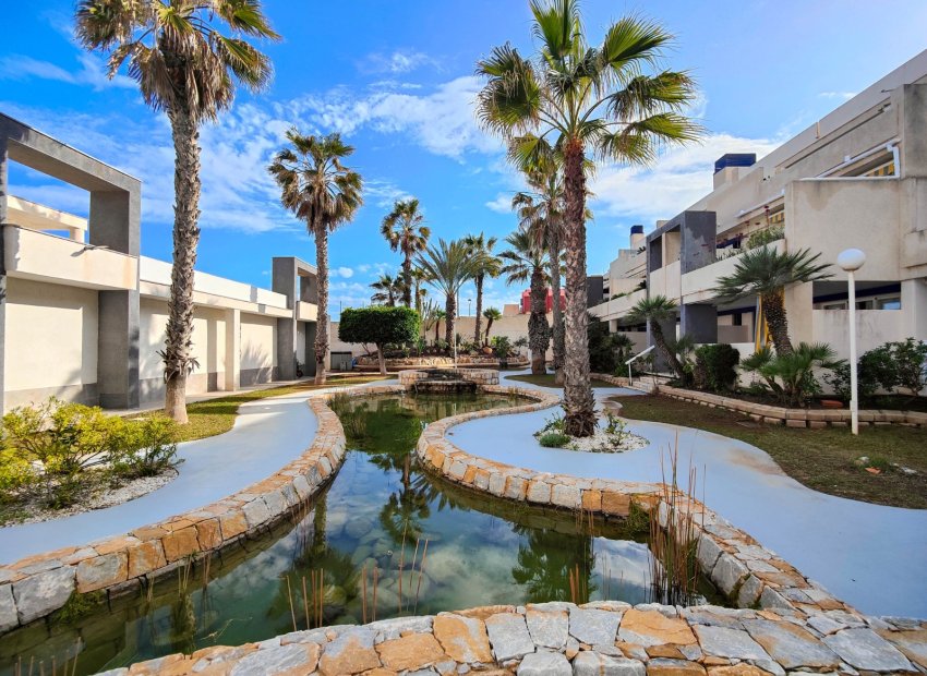 Reventa - Apartamento / piso - Torrevieia - La Mata