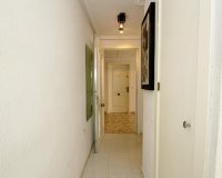 Reventa - Apartamento / piso - Torrevieia - Nueva Torrevieja