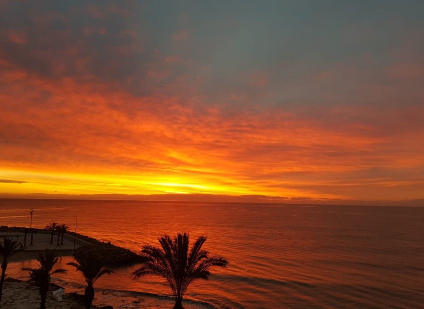Reventa - Apartamento / piso - Torrevieia - Playa del Cura