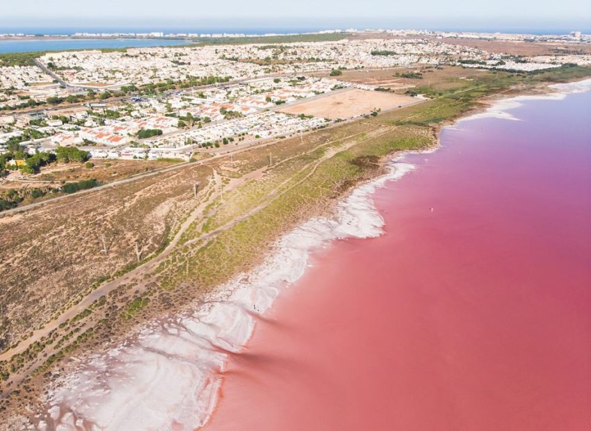 Reventa - Apartamento / piso - Torrevieia - Playa Los Locos