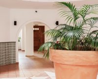 Reventa - Apartamento / piso - Torrevieia - Playa Los Locos