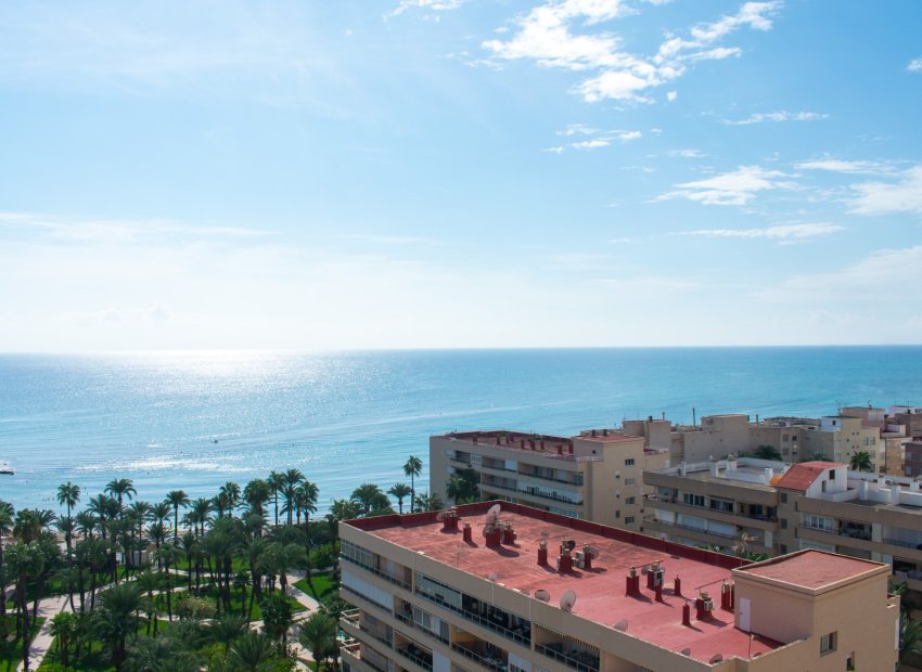 Reventa - Apartamento / piso - Torrevieia - Playa Los Locos