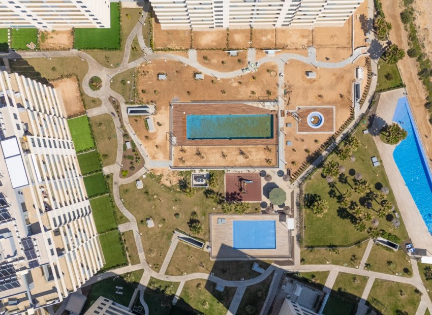 Reventa - Apartamento / piso - Torrevieia - Punta Prima