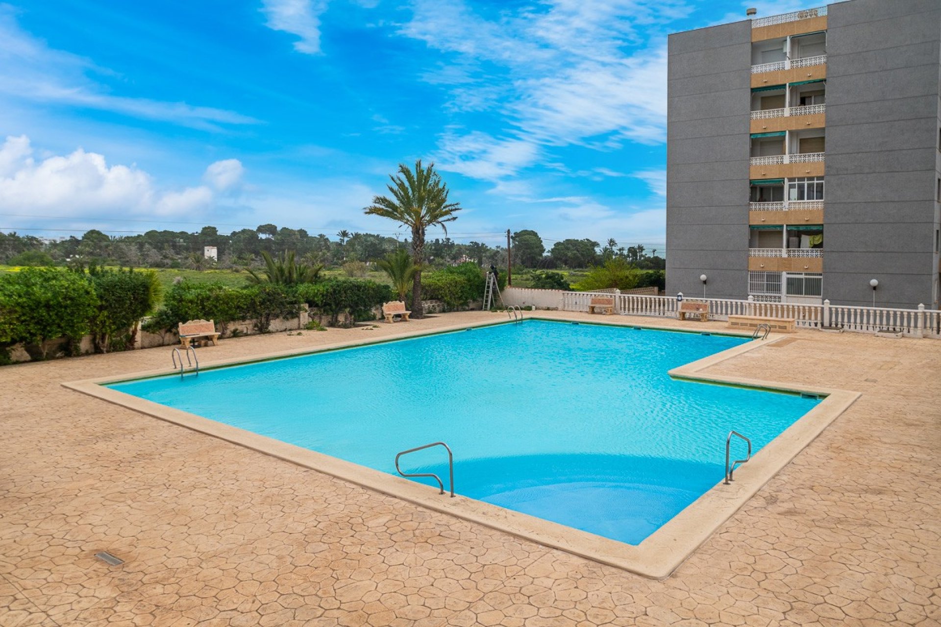Reventa - Apartamento / piso - Torrevieia - Punta Prima
