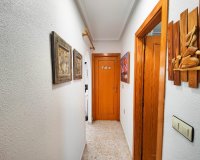 Reventa - Apartamento / piso - Torrevieia - San Luis