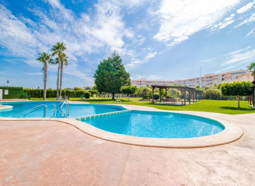 Reventa - Apartamento / piso - Torrevieia - San Luis