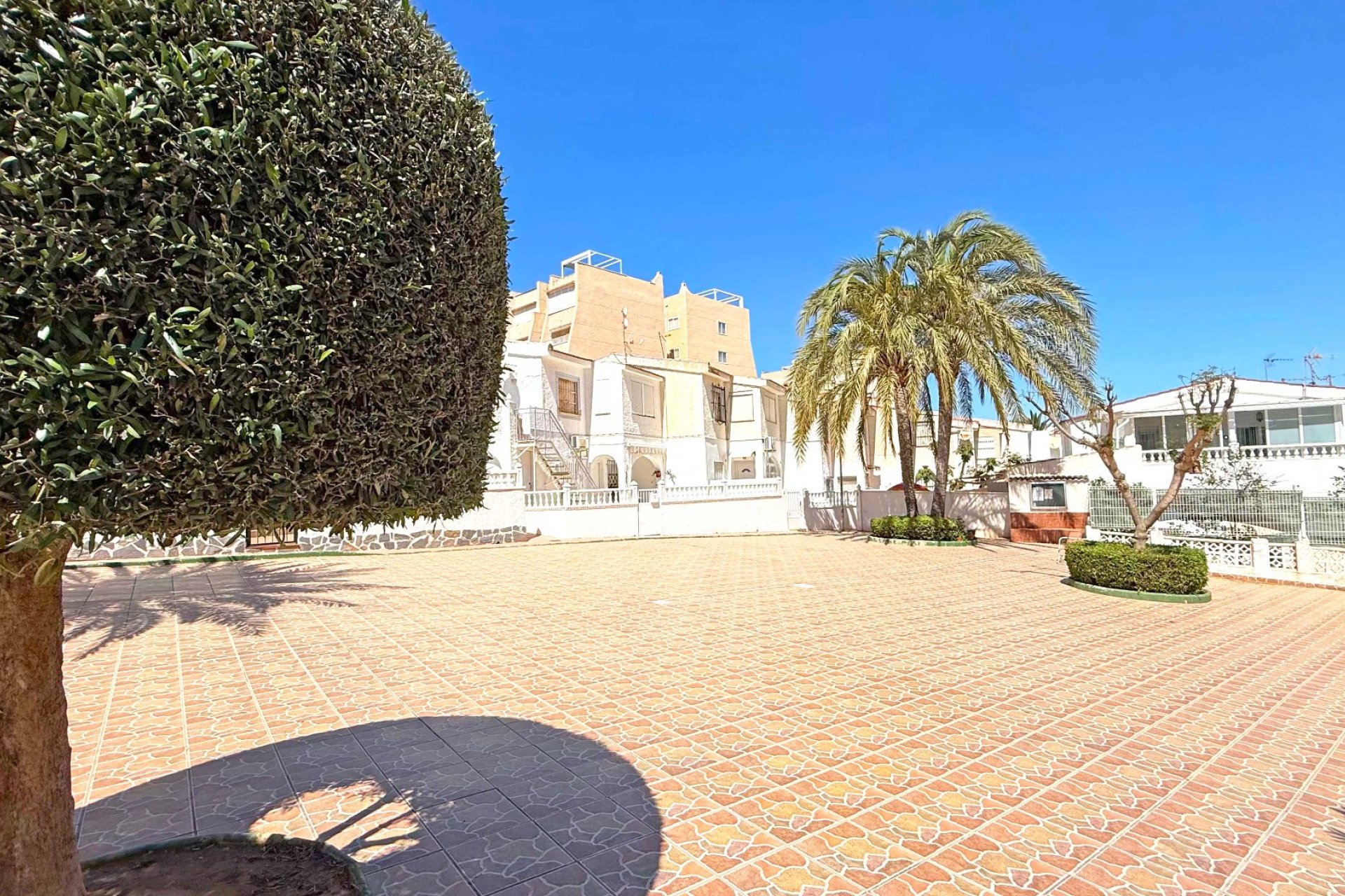 Reventa - Apartamento / piso - Torrevieia - Torrelamata - La Mata