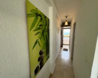 Reventa - Apartamento / piso - Torrevieia - Torrevieja>Cabo Cervera