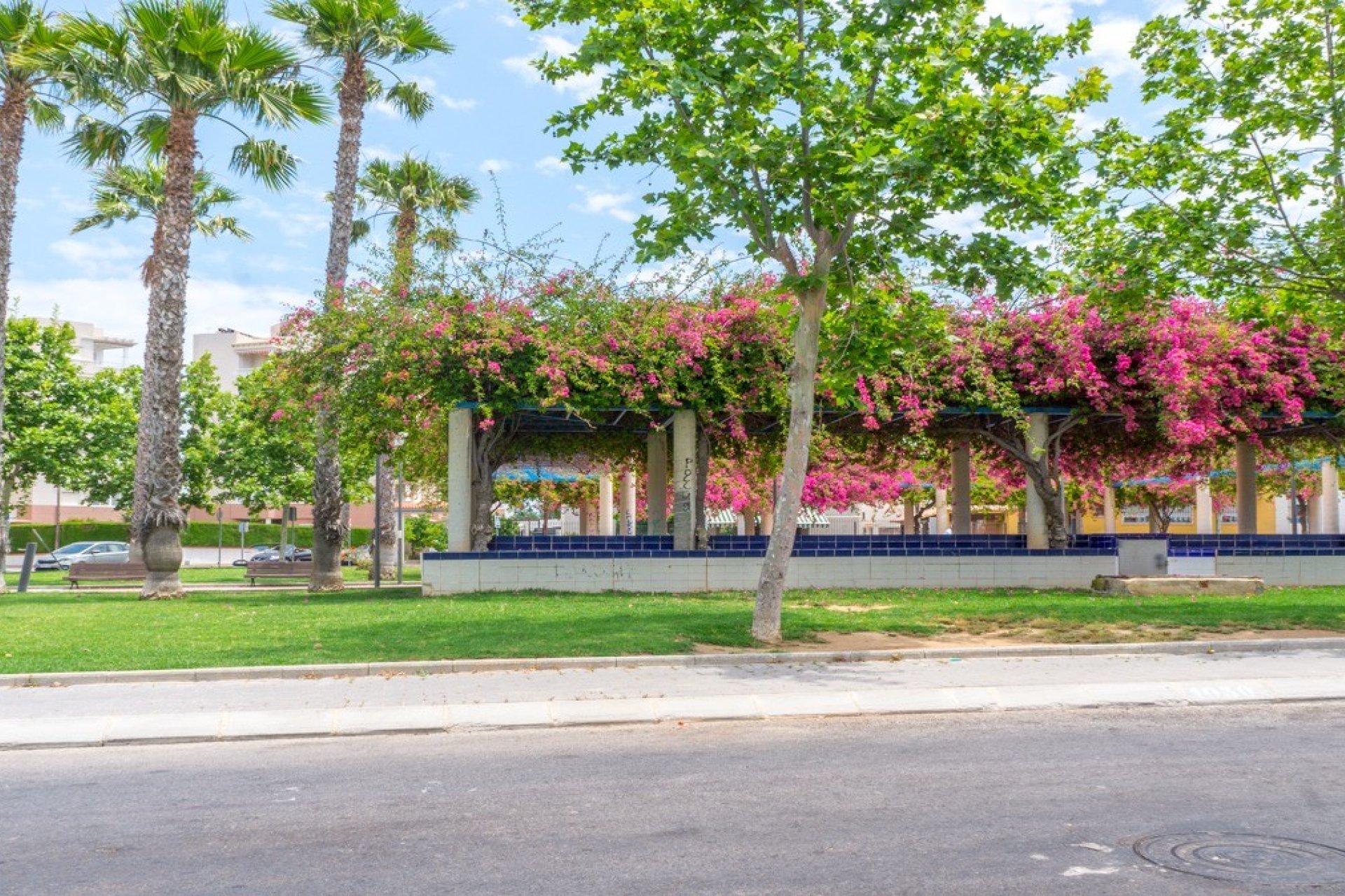 Reventa - Apartamento / piso - Torrevieia - Torrevieja