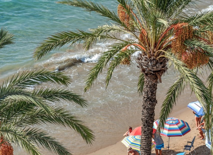 Reventa - Apartamento / piso - Torrevieia - Torrevieja