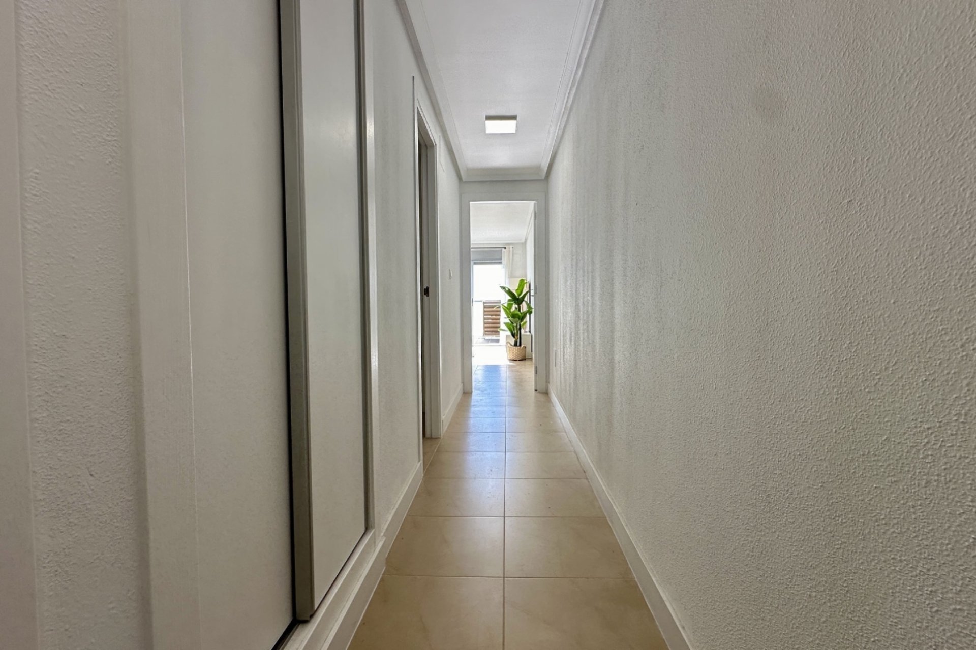 Reventa - Apartamento / piso - Torrevieia - Torrevieja
