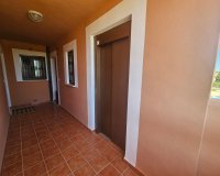 Reventa - Apartamento / piso - Villamartín - PAU 8
