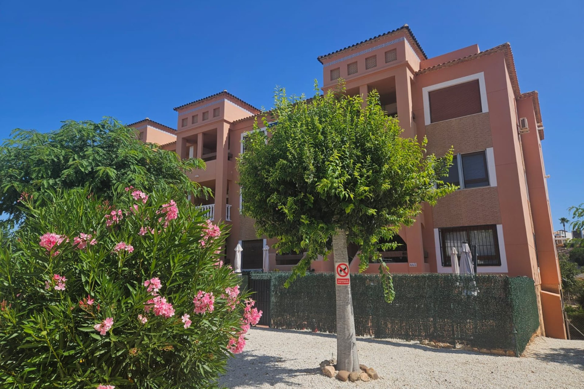 Reventa - Apartamento / piso - Villamartín - PAU 8