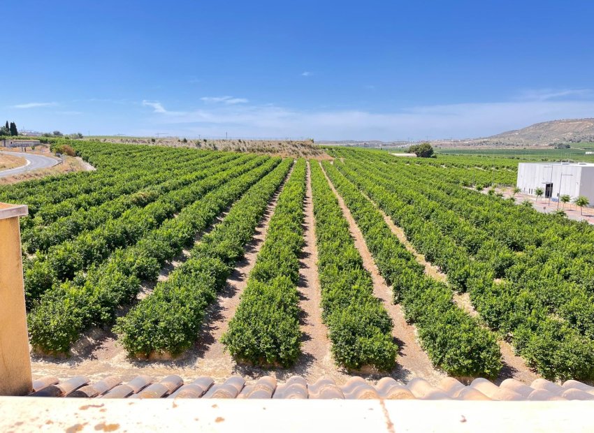Reventa - Apartments - Flats - Algorfa - Pueblo