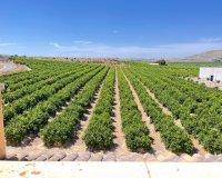 Reventa - Apartments - Flats - Algorfa - Pueblo