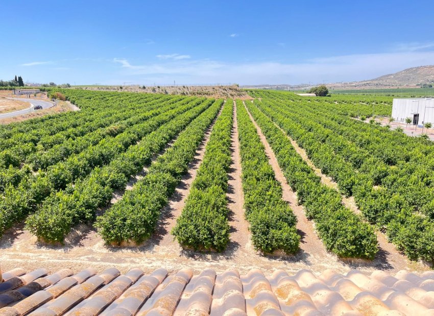 Reventa - Apartments - Flats - Algorfa - Pueblo