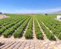 Reventa - Apartments - Flats - Algorfa - Pueblo