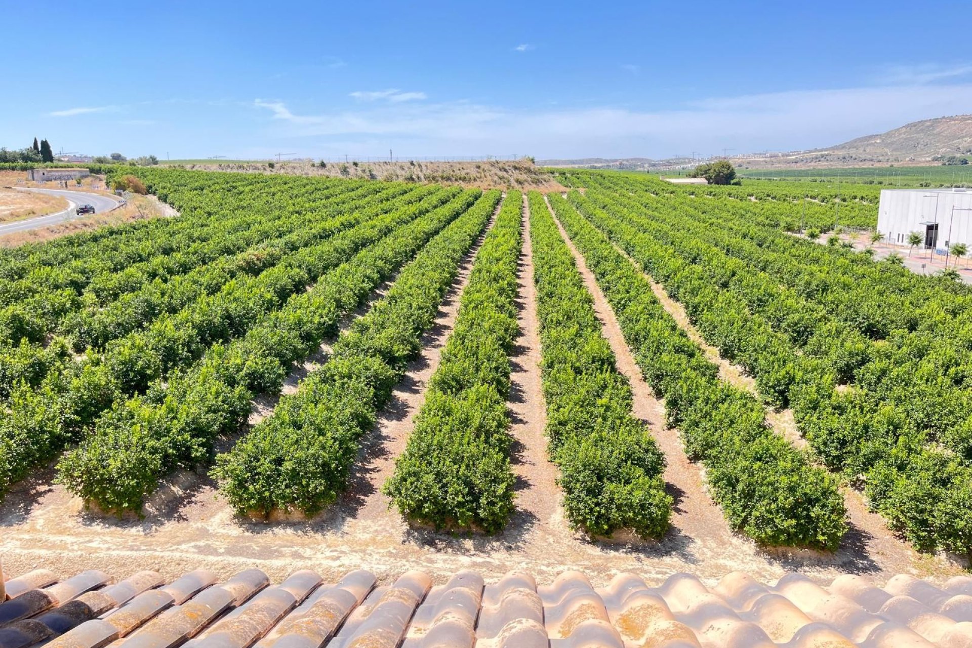 Reventa - Apartments - Flats - Algorfa - Pueblo