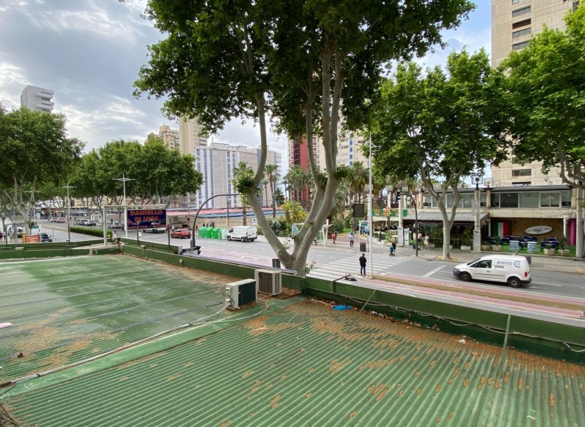 Reventa - Apartments - Flats - Benidorm - Levante