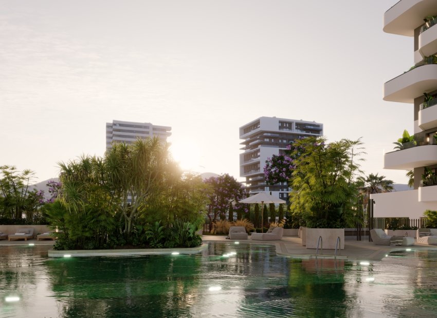 Reventa - Apartments - Flats - Calpe - Playa Arenal Bol