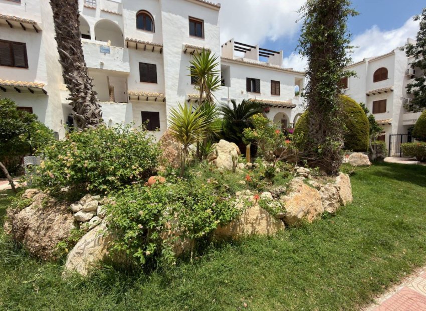 Reventa - Apartments - Flats - Ciudad Quesada
