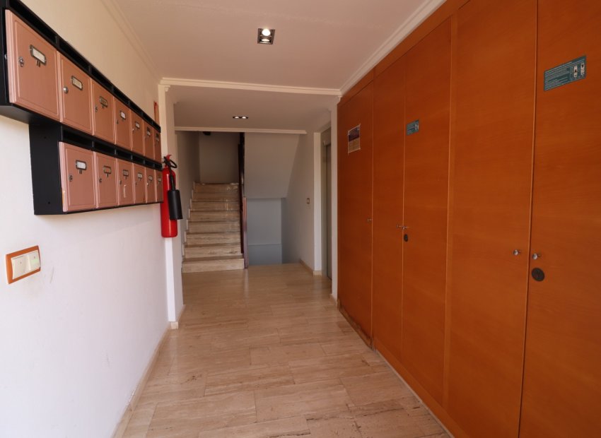 Reventa - Apartments - Flats - Formentera del Segura - Formentera De Segura