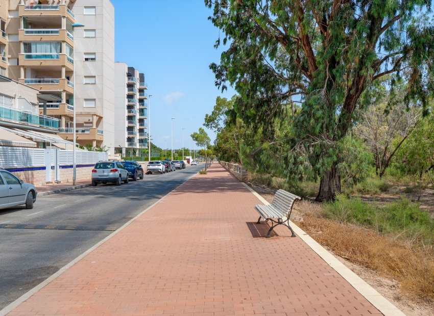 Reventa - Apartments - Flats - Guardamar del Segura - Guardamar