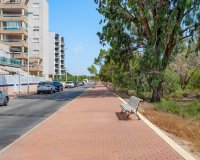 Reventa - Apartments - Flats - Guardamar del Segura - Guardamar