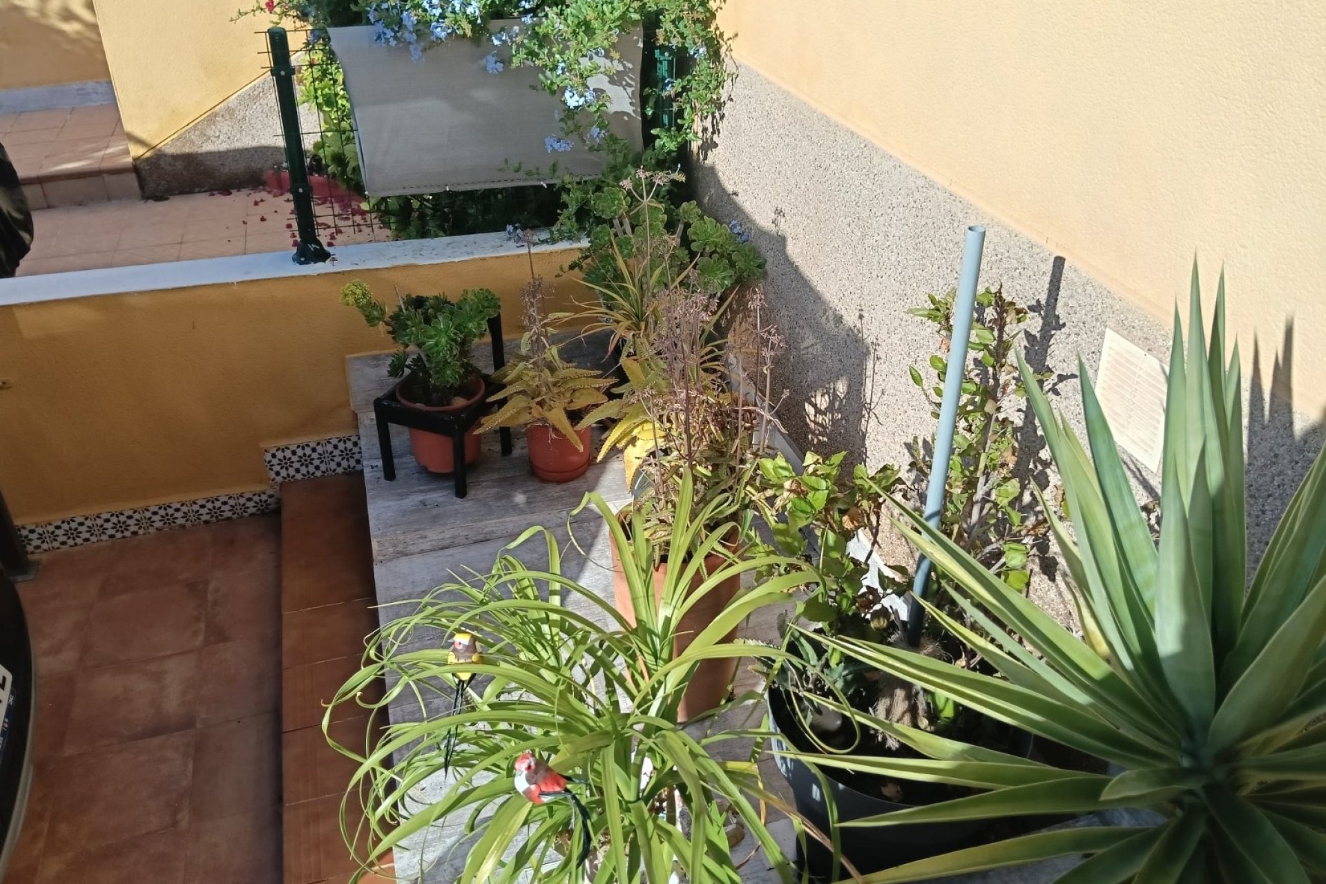 Reventa - Apartments - Flats - Los Montesinos - La Herrada