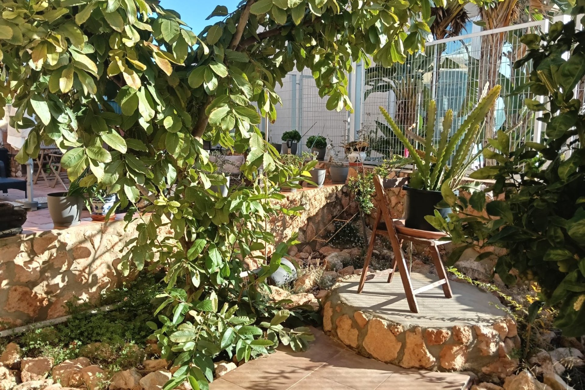 Reventa - Apartments - Flats - Los Montesinos - La Herrada
