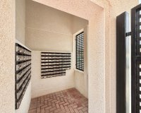 Reventa - Apartments - Flats - Monforte del Cid