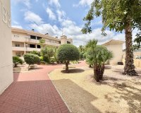 Reventa - Apartments - Flats - Monforte del Cid