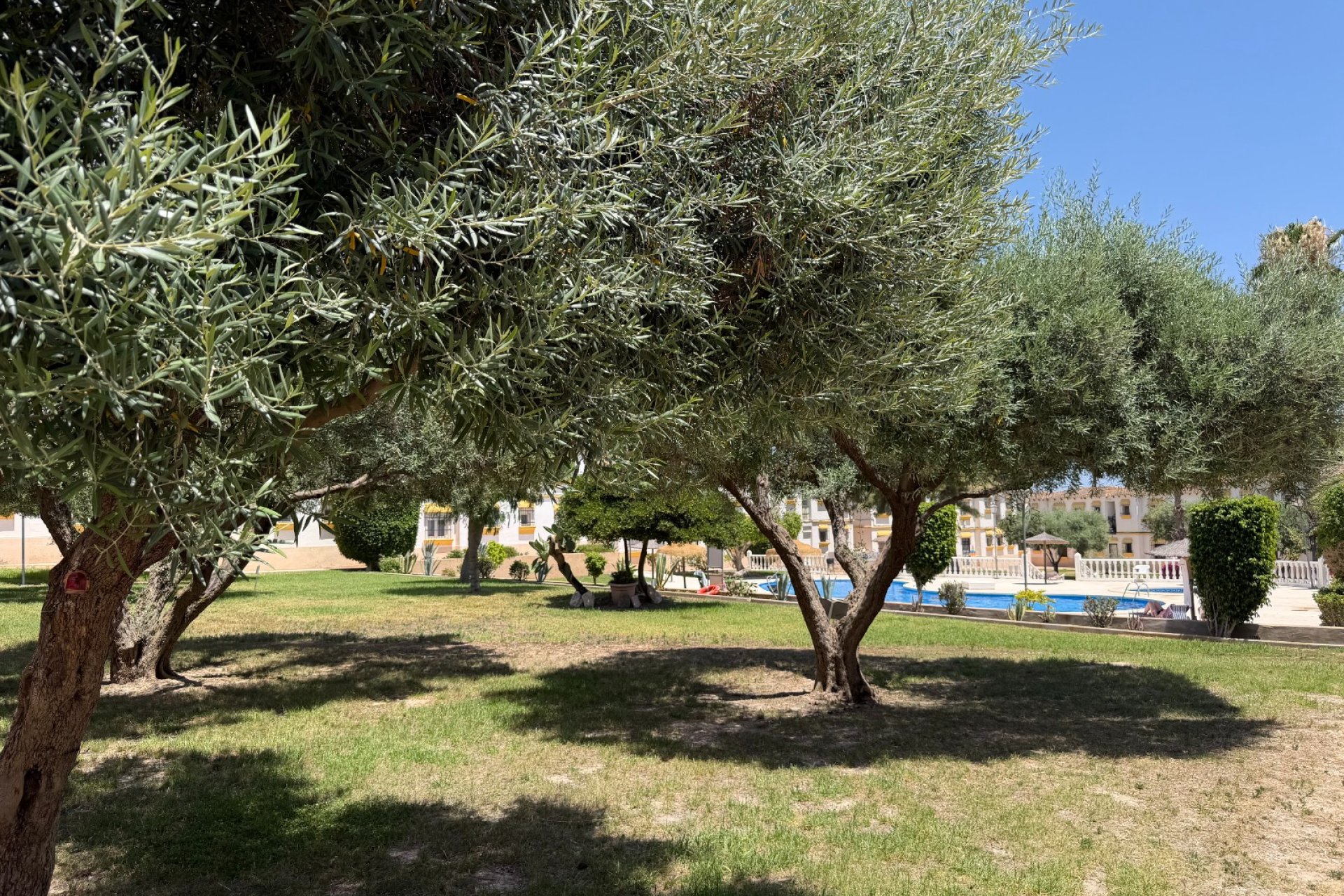 Reventa - Apartments - Flats - Orihuela Costa - Blue Lagoon