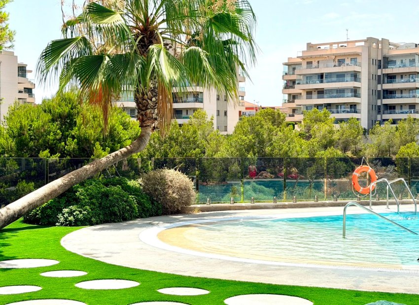 Reventa - Apartments - Flats - Orihuela Costa - La Zenia