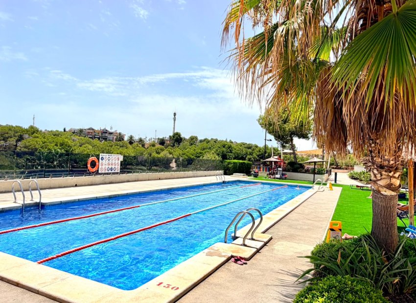 Reventa - Apartments - Flats - Orihuela Costa - La Zenia