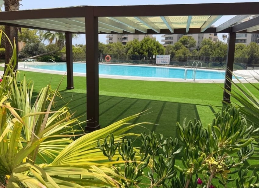 Reventa - Apartments - Flats - Orihuela Costa - La Zenia