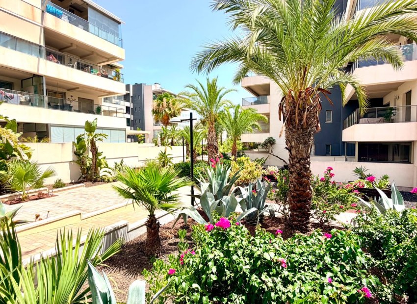 Reventa - Apartments - Flats - Orihuela Costa - La Zenia