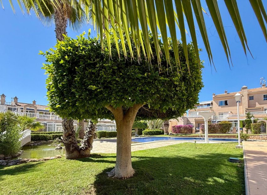 Reventa - Apartments - Flats - Orihuela Costa - Playa Flamenca