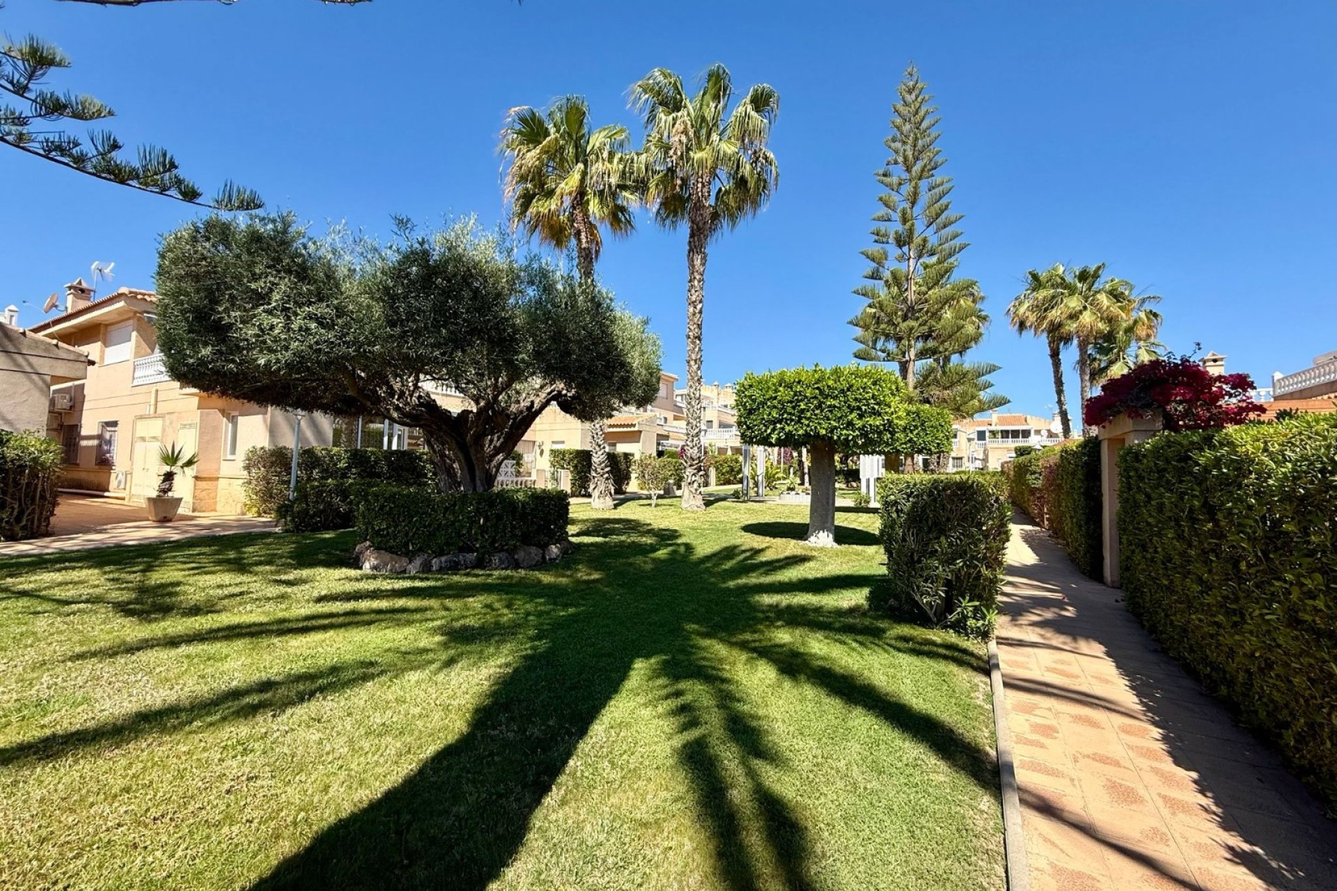 Reventa - Apartments - Flats - Orihuela Costa - Playa Flamenca