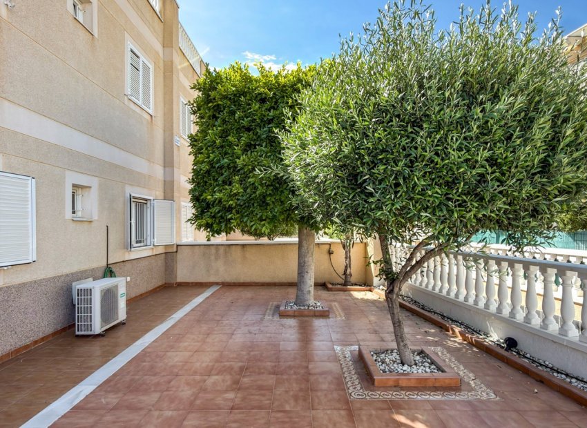 Reventa - Apartments - Flats - Orihuela Costa - Playa Flamenca
