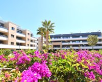Reventa - Apartments - Flats - Orihuela Costa - Playa Flamenca