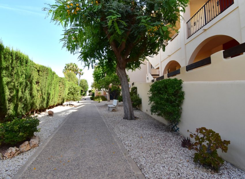 Reventa - Apartments - Flats - Orihuela Costa - Playa Flamenca