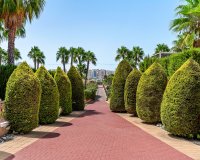 Reventa - Apartments - Flats - Orihuela Costa - Playa Flamenca