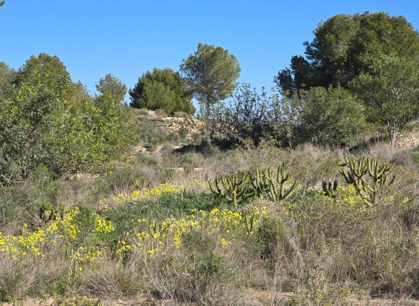 Reventa - Apartments - Flats - Orihuela Costa