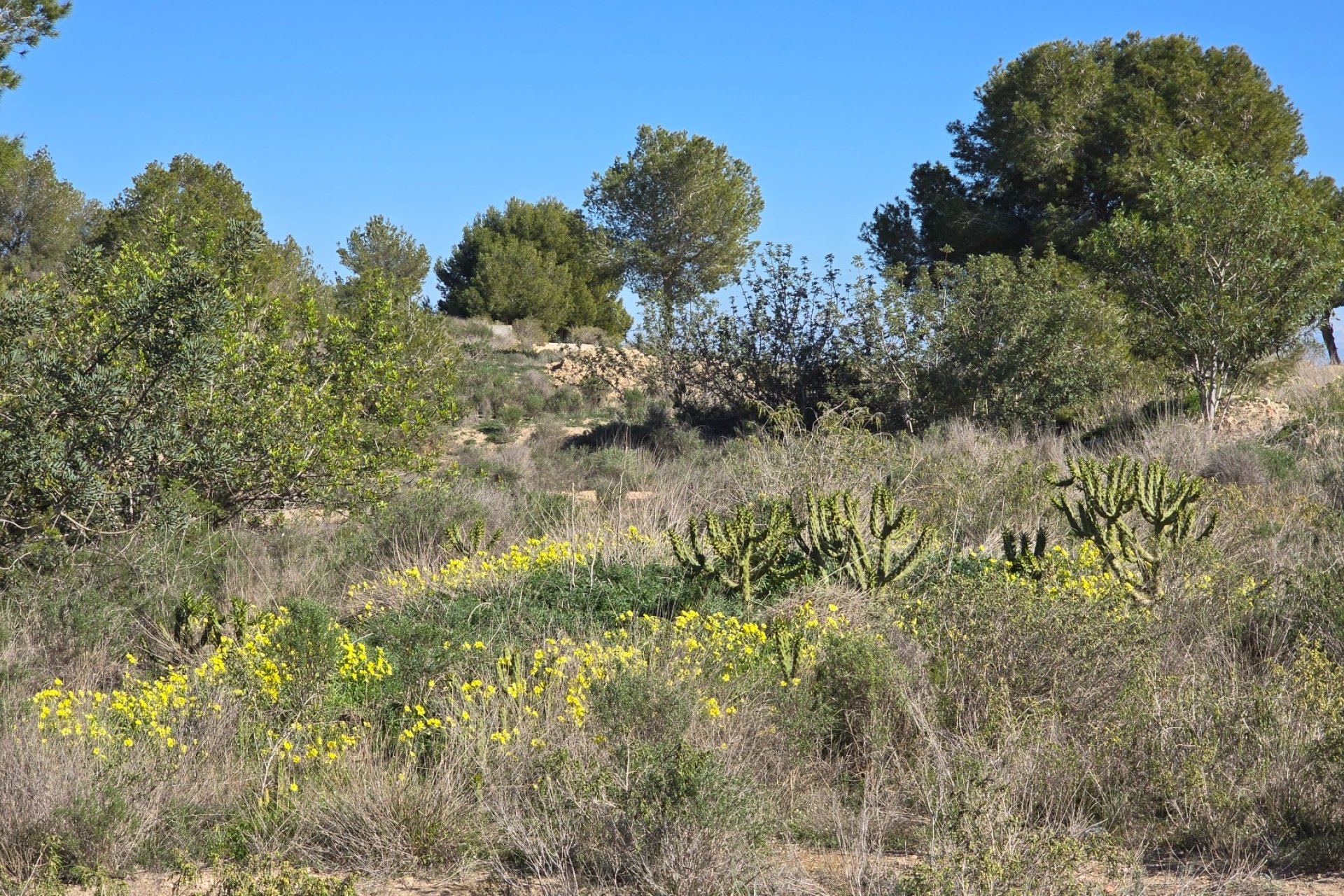 Reventa - Apartments - Flats - Orihuela Costa
